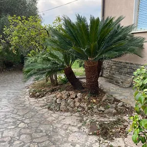 il-giardino-delle-cycas.hotelitalianriviera.com/